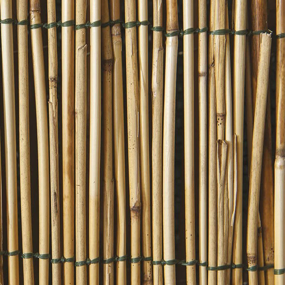 Arelle Ombreggianti Canne di Bamboo FERLIVING 100x500 cm