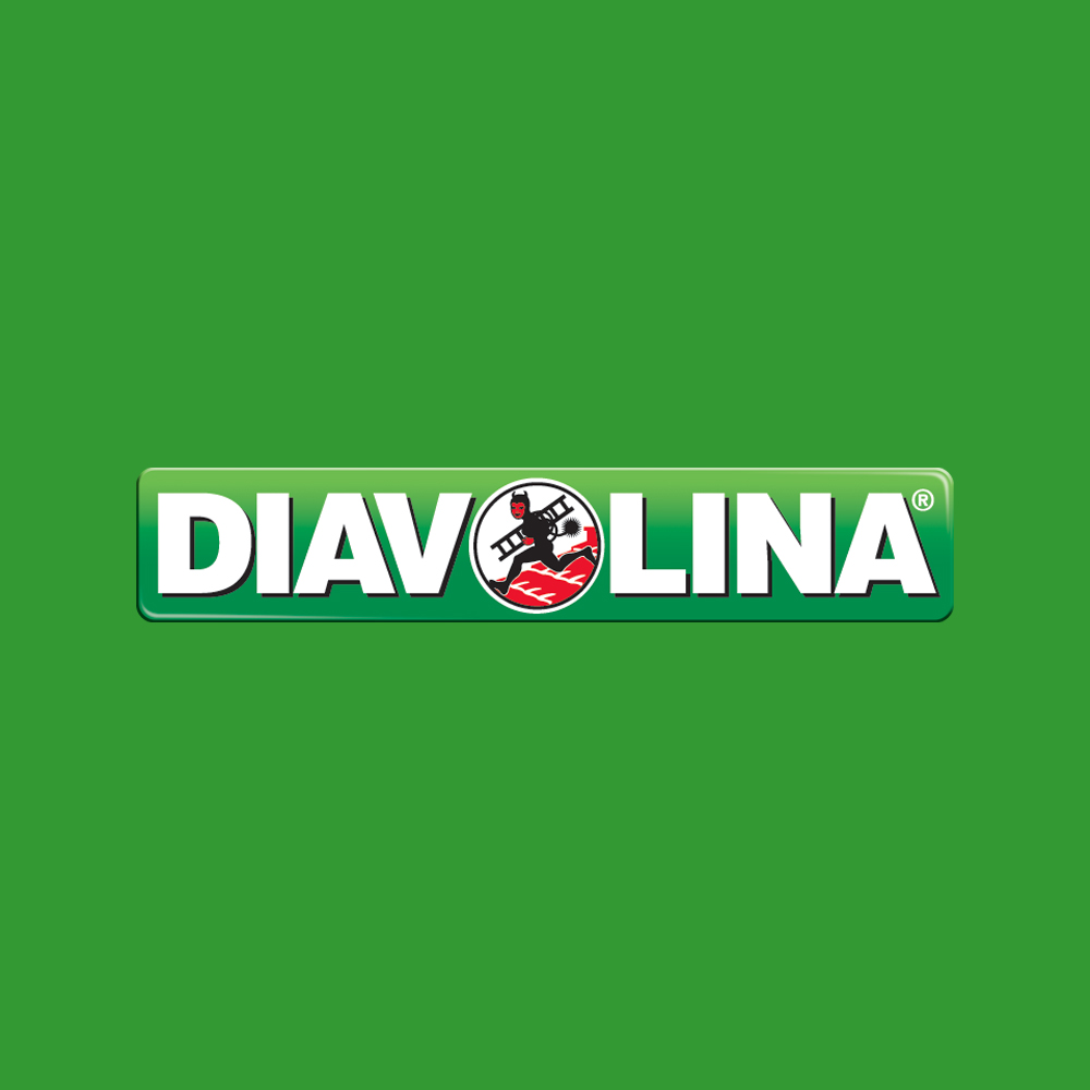 Accendifuoco Ecologico 100 Cubetti DIAVOLINA - Non Inquina e Non Sporca